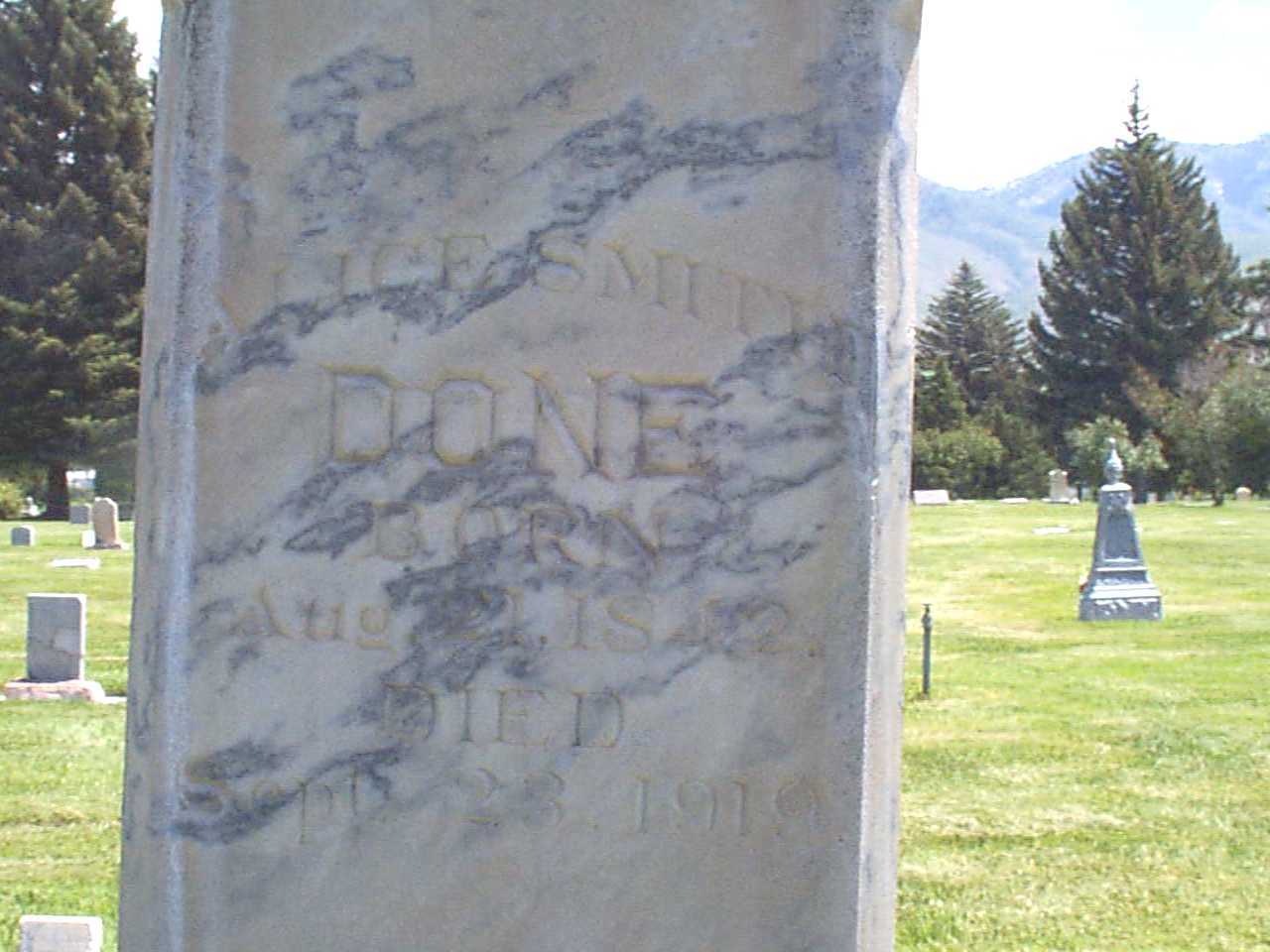 Close-up Picture
